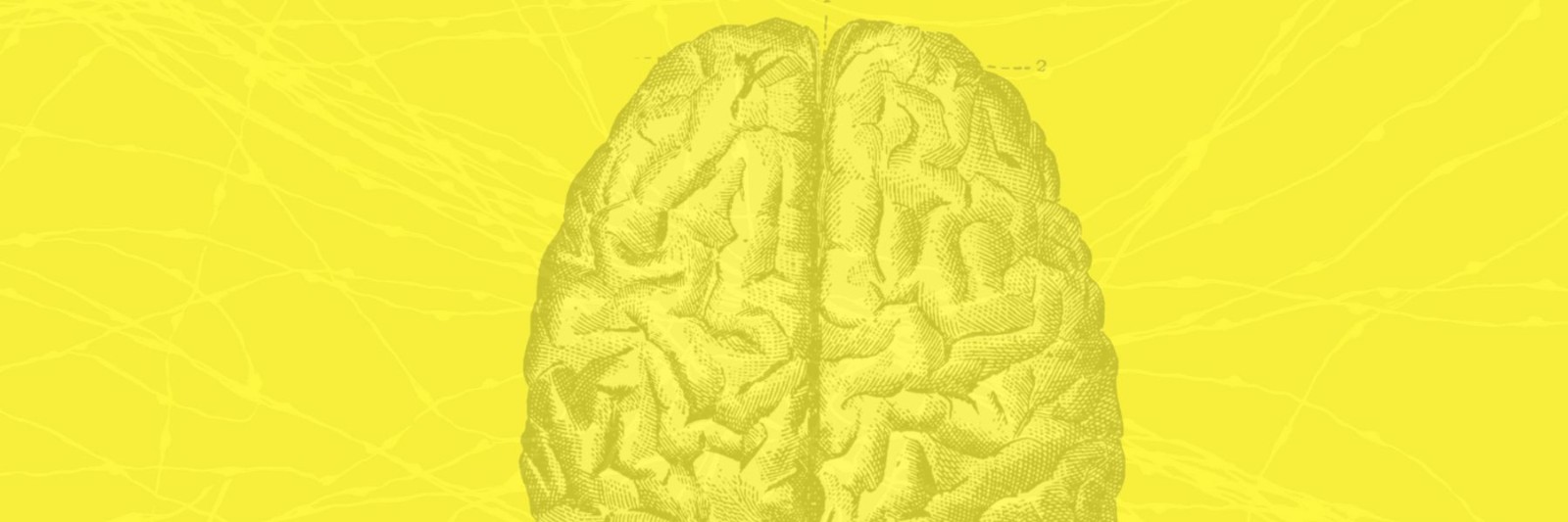 next2brain media & marketing