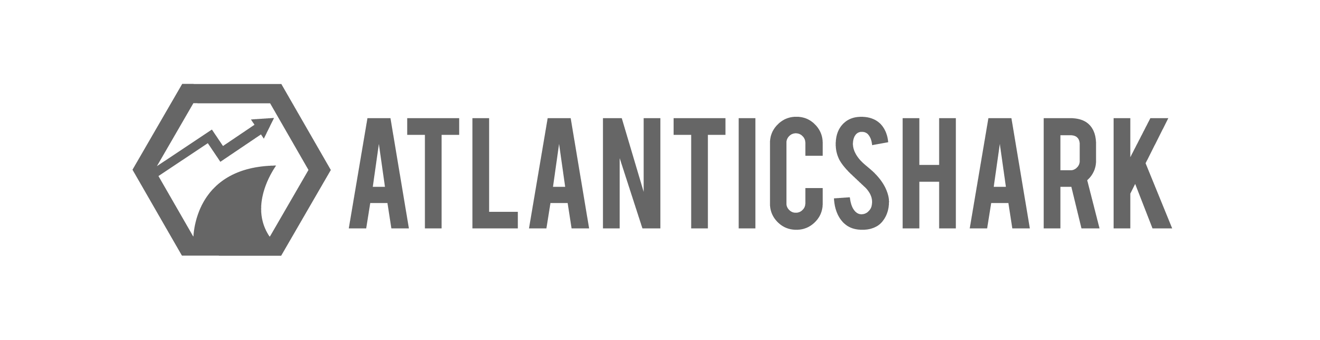 Atlantic Shark - Amazon Marketing Agentur