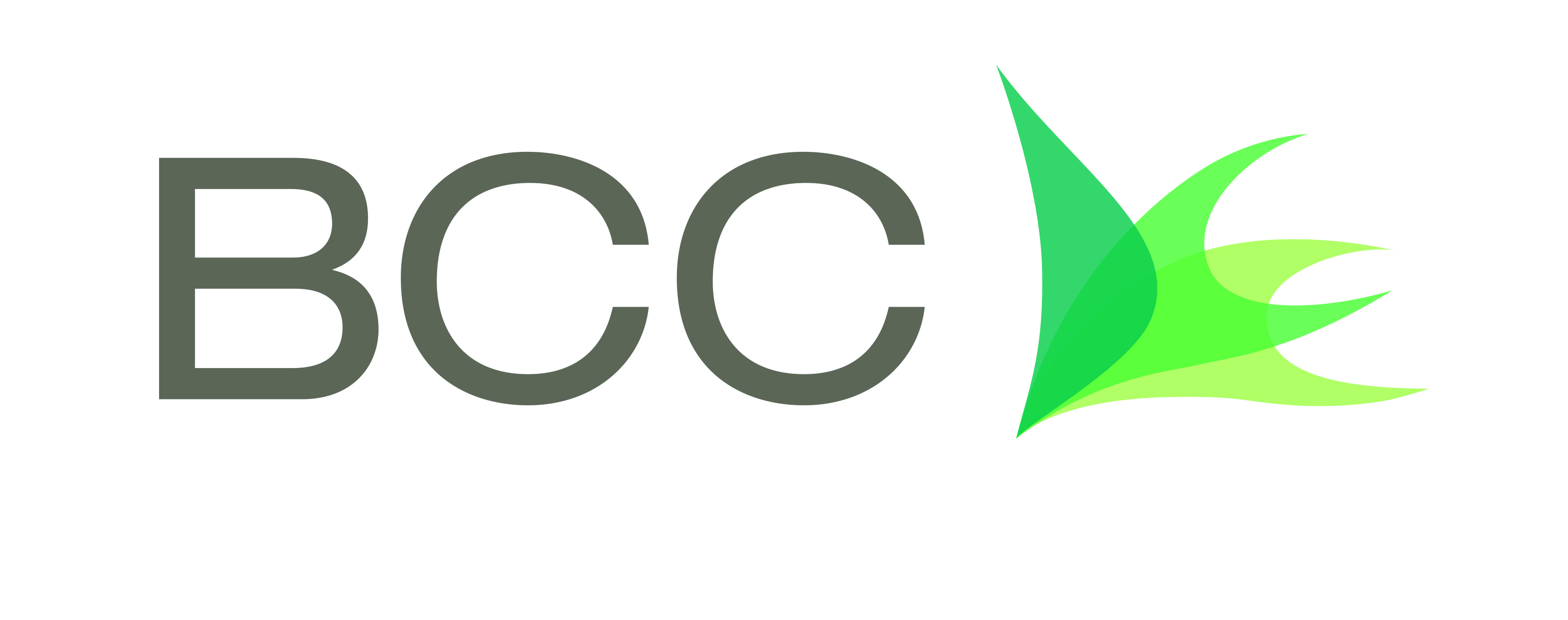 BCC Business Communications Consulting GmbH