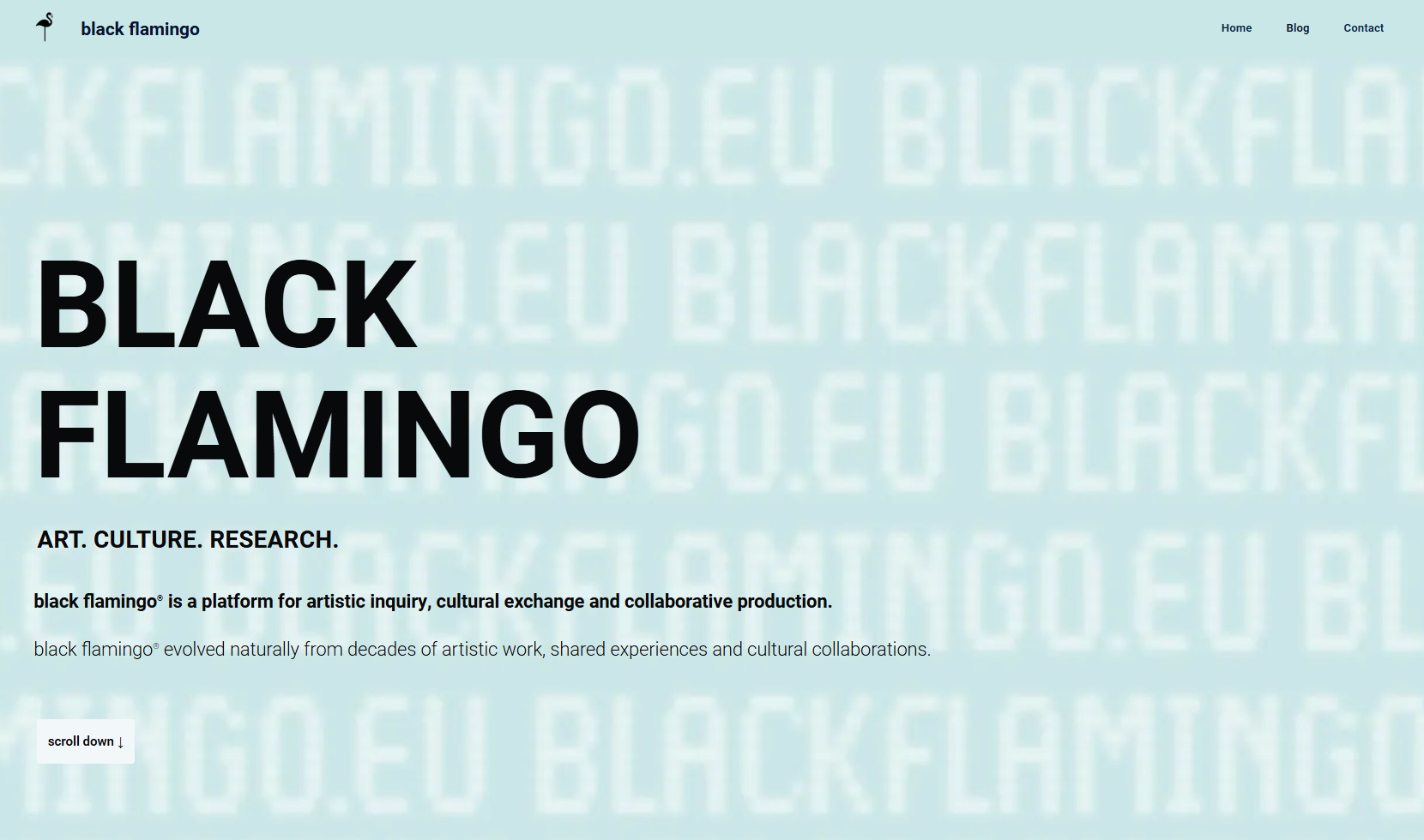 black flamingo | Torsten Oelscher