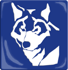 BlueWolf Produktion
