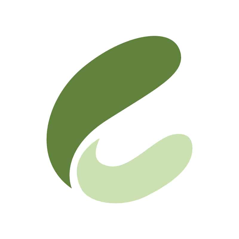 crocovision - Webdesign mit Biss