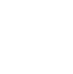 Hannemann Media AG