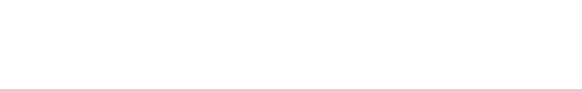 Invictus Lead Generation GmbH