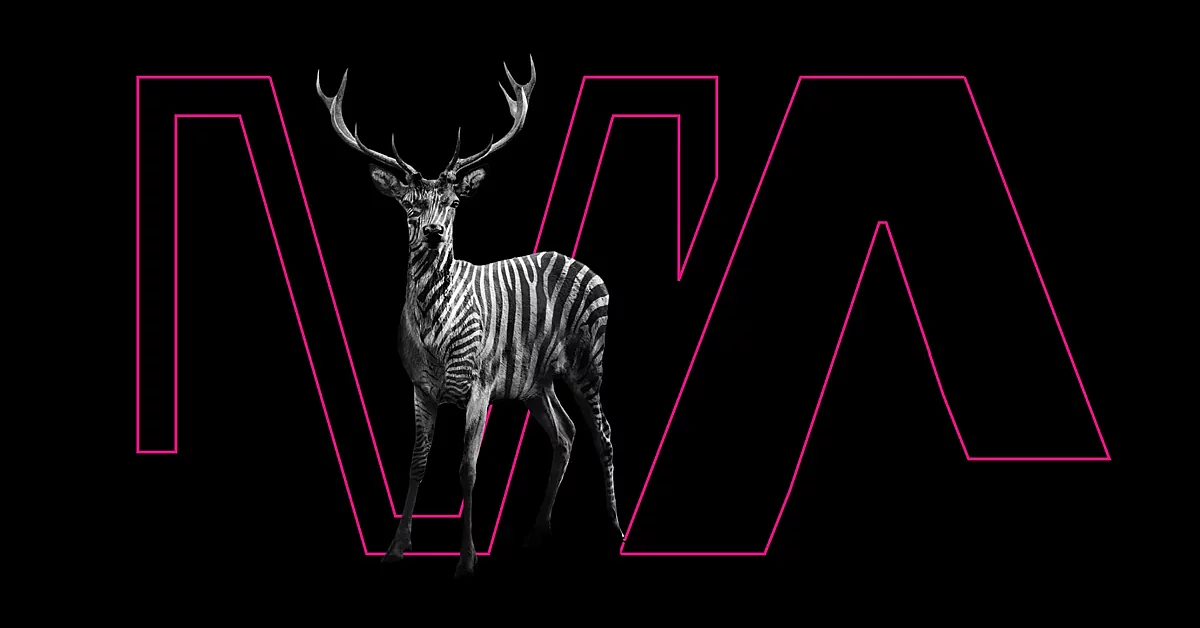magenta Kommunikation, Design und Neue Medien GmbH & Co. KG