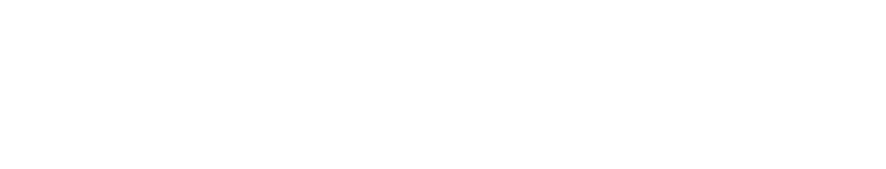 PROJEKTIL