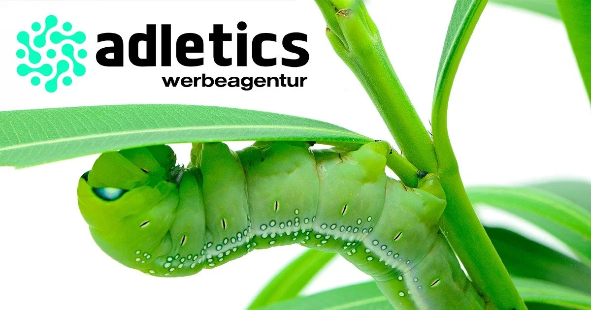 Werbeagentur Wiesbaden Adletics | Full Service Agentur