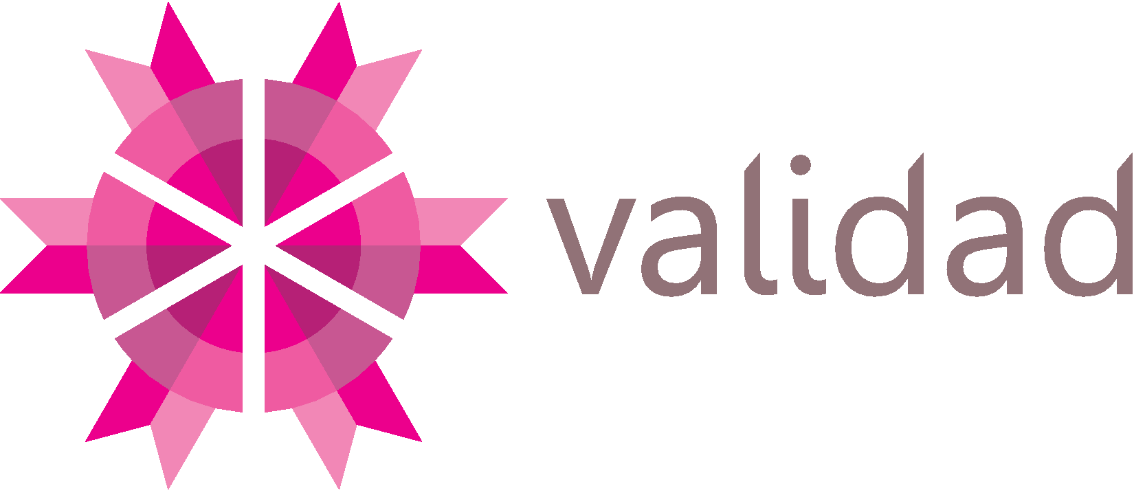 www.validad.com