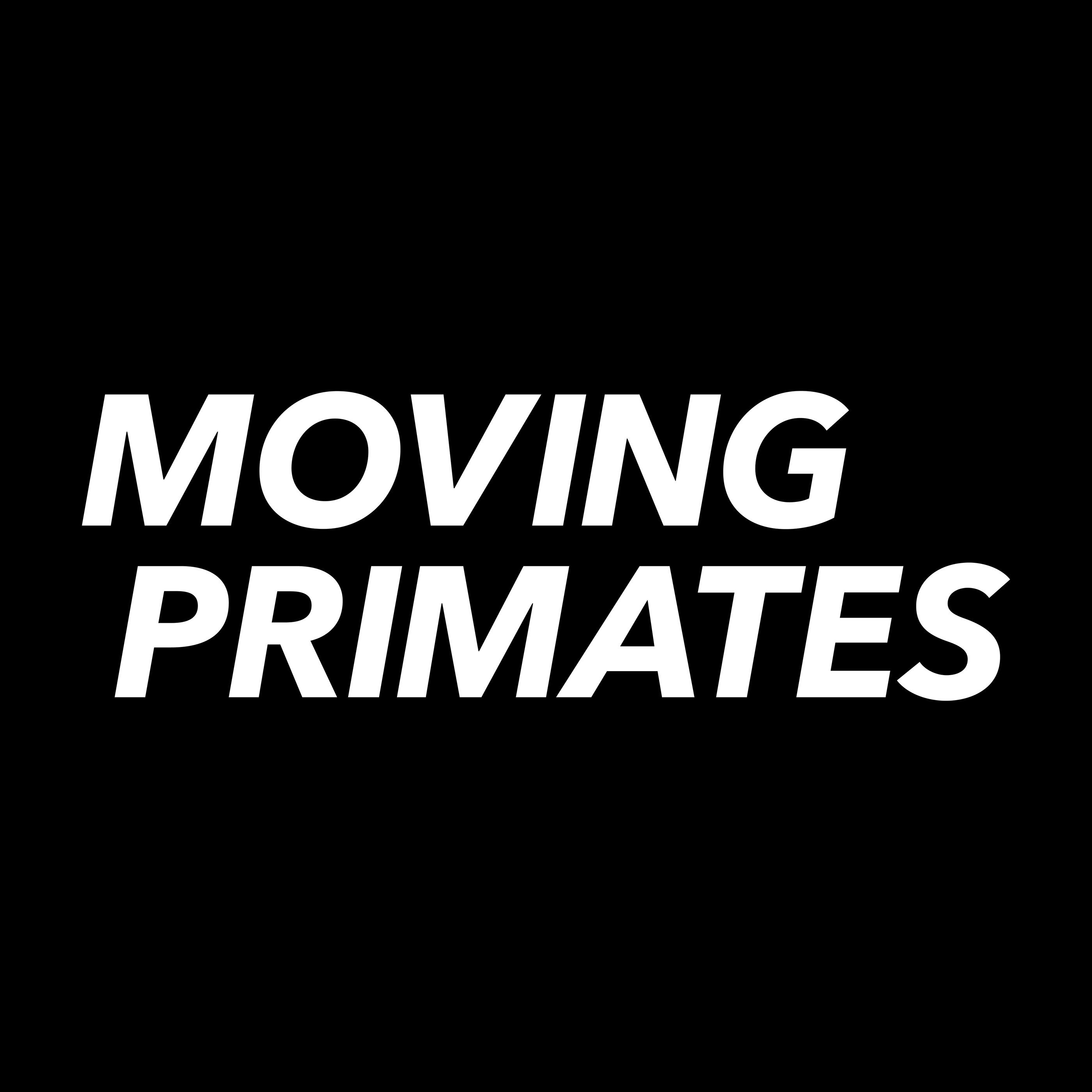 Moving Primates GmbH